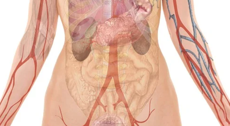 Colostomy